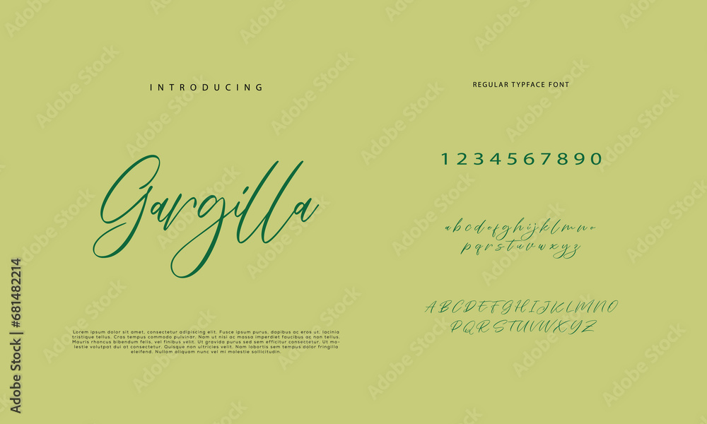 Handwritten Script font. Hand drawn brush style modern calligraphy cursive typeface. Hand Lettering and Custom Typography alphabet for Designs: Logo, Greeting Cards, Poster. Vector Brush type set.
