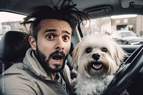 Scared disheveled man with white lapdog is driving car photo
