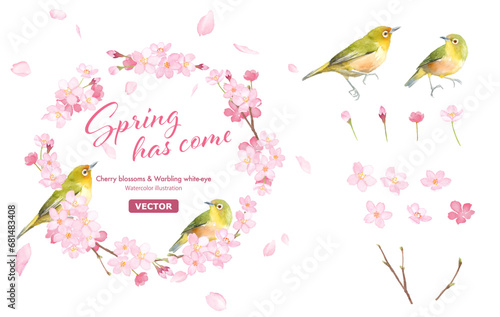桜とメジロ２羽の丸型フレーム。エレメントセット。水彩イラスト（ベクター。レイアウト変更可能）
 photo