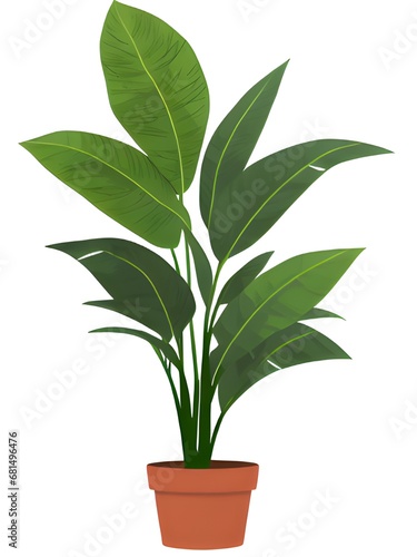 green plant in the pot isolated on white background