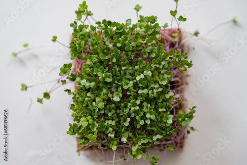 fresh herbs in a bowl