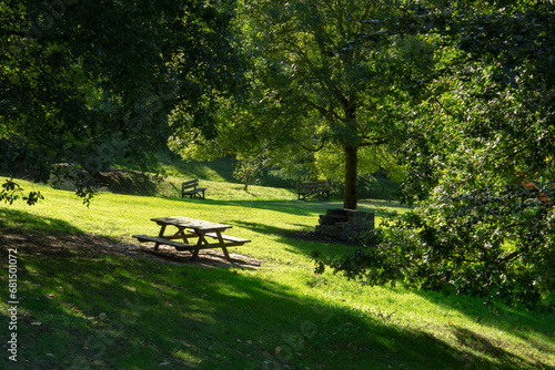 Picnic table in a tree shadow on a nice green meadow