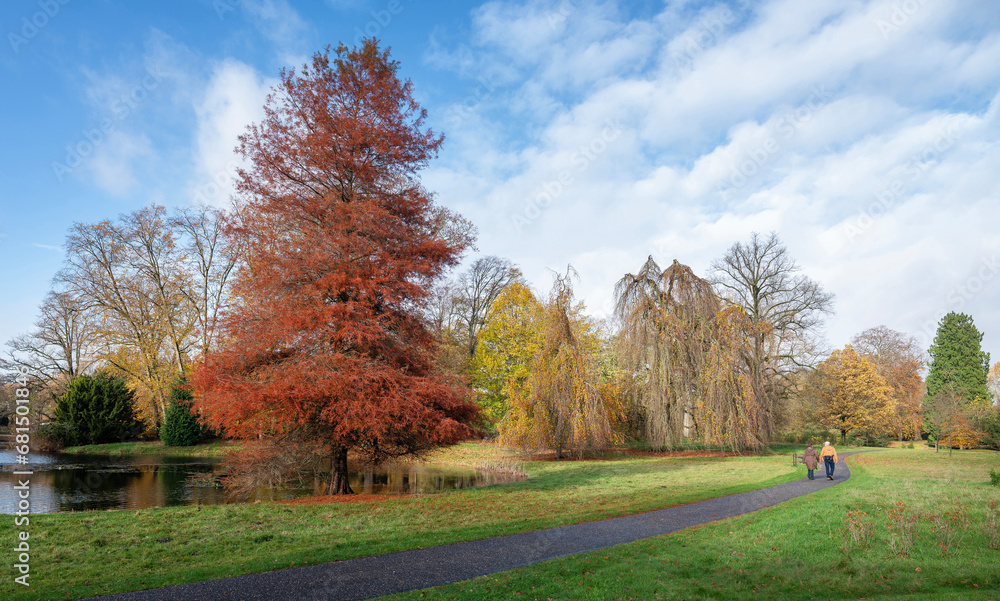 couple walks in colorful autumn park near utrecht in the netherlands couple walks in colorful autumn park near utrecht in the netherlands