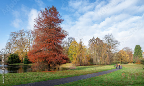 couple walks in colorful autumn park near utrecht in the netherlands