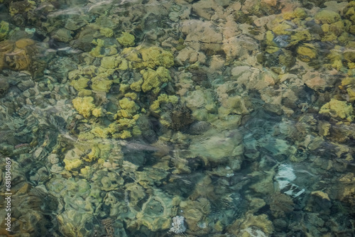 water and colorful corals on vacation in egypt