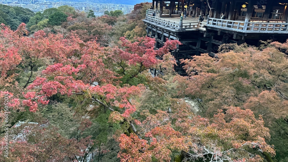 Fototapeta premium 清水寺