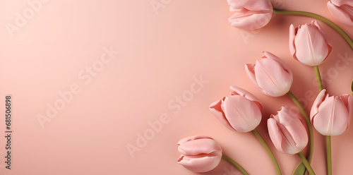 Tulips flowers pink template for congratulation.Woman's day, 8 march, Easter, Mother's day, anniversary