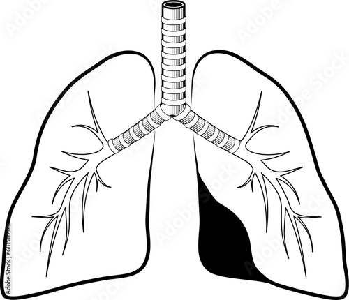 Human lungs black line icon.