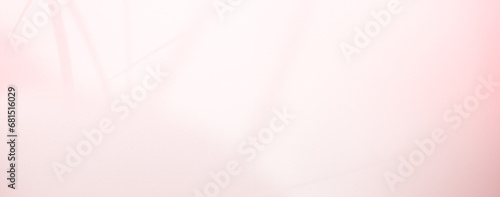 Pink Shadow Background Overlay Leaf Abstract Template Product Light Spring Summer Wall Floor Mockup Cosmetic Beauty 3d blur Flower Beige Cream Peach Color Backdrop Premium Luxury Frame Pattern Pastel.