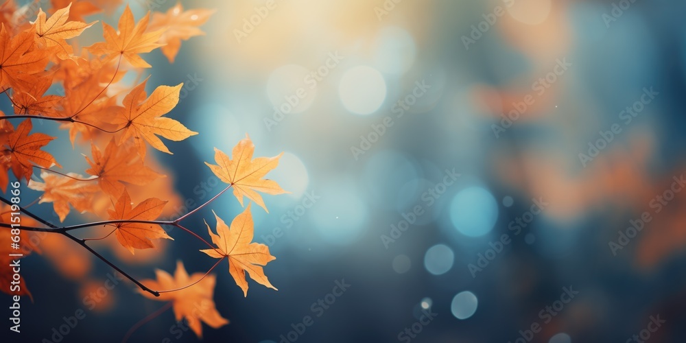 Leaves with copy space background. Leaves bokeh background. Autumn Leaves. Green and Yellow leaves with bokeh lights in the background. Typography free backgrounds.