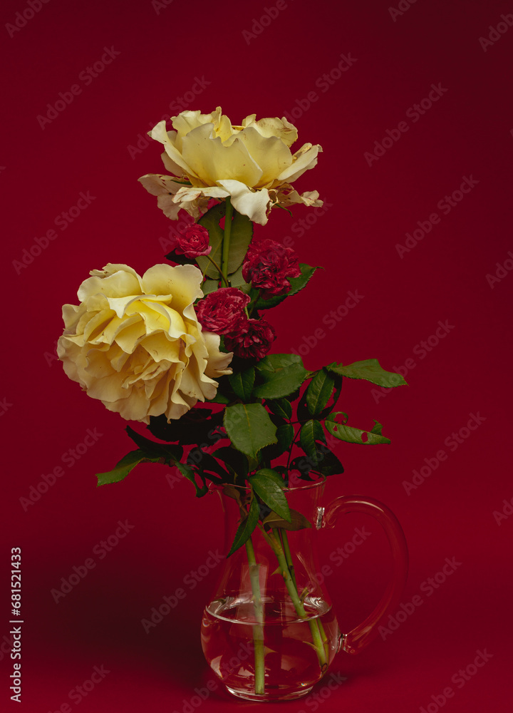 Fototapeta premium Some roses taken against different backgrounds