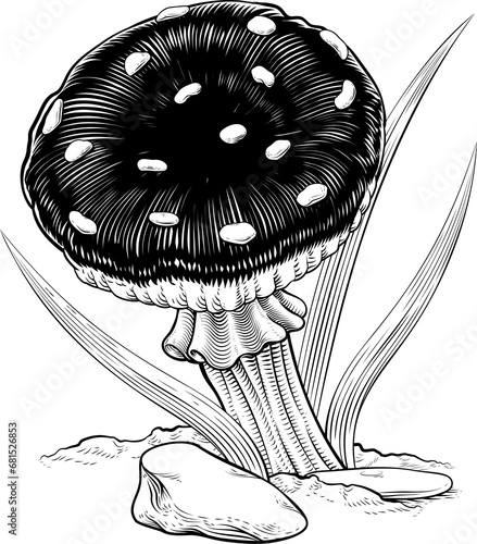 Mushroom Toadstool Fungus V...