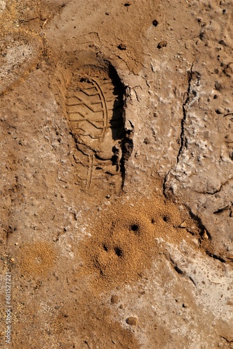 Footprint. Footprints man on the mud  sand soil. Human footprint on the earth  soil land. Track  Tracks