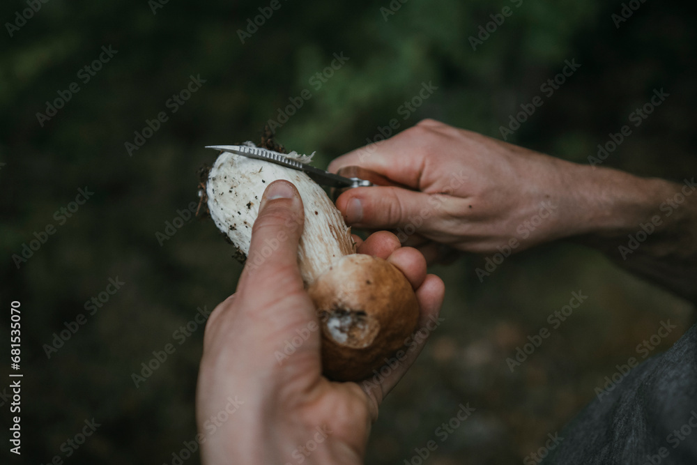 Cropped hands of man peeling porcini mushroom with knife Cropped hands of man peeling porcini mushroom with knife