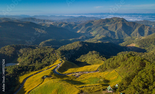 Aerial view landscape of Mountain in morning time nature flower Tung Bua Tong Mexican sunflower field , Mae Hong Son, Thailand. drone view Beautiful yellow of Mexican sunflower field on hill