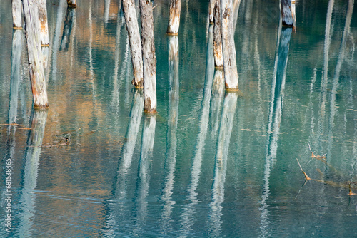 黄葉した林を映す青い池の湖面 