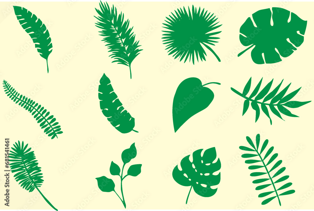 Set of exotic tropical leaves like Rhopalostylis, Rhapis, Areca, Schefflera, fern. Hawaiian plants set. Vector format Realistic botanical illustration. Easy to change color or manipulate, eps 10.
