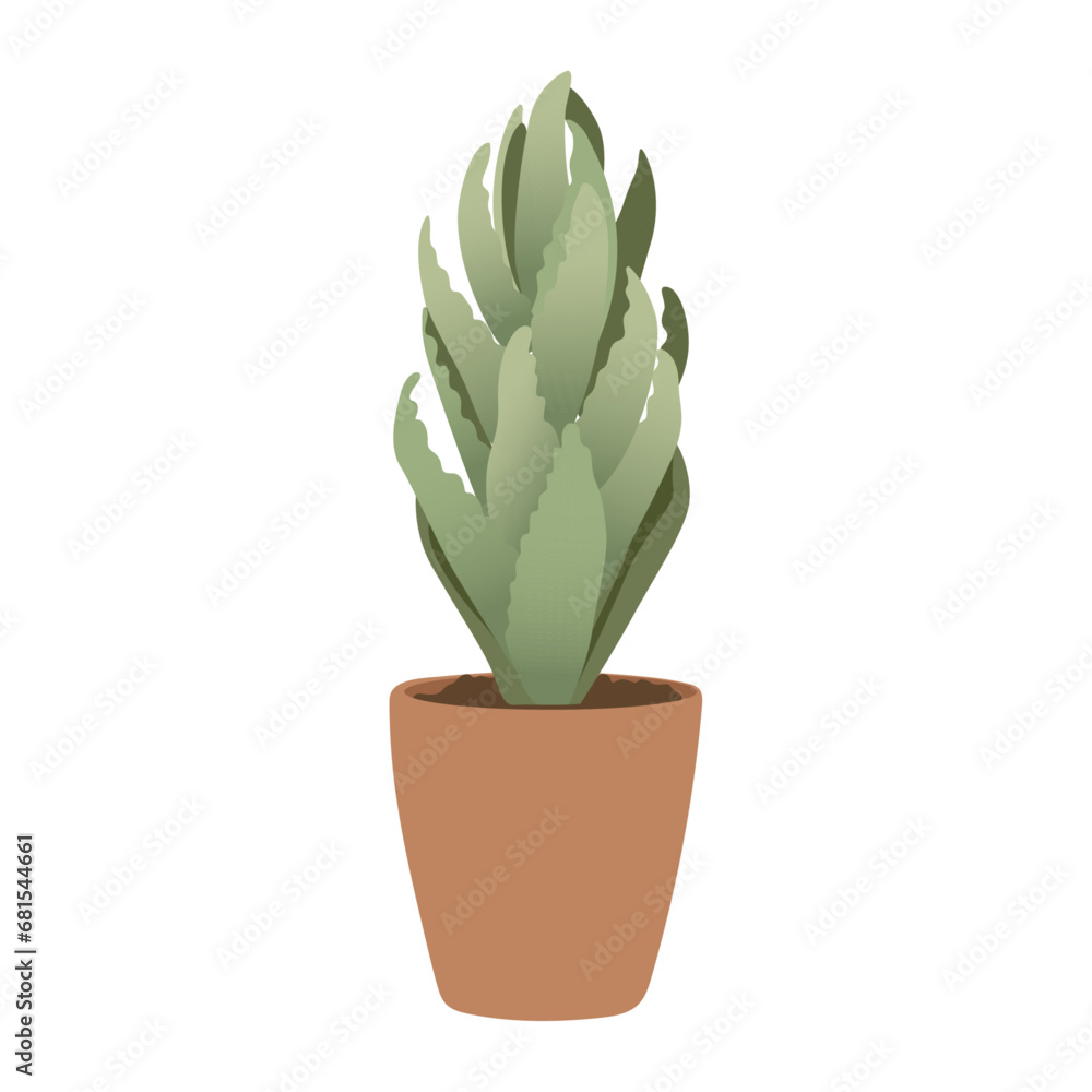 Cactus plant in pot on white background, cute exotic floliage. Hand Drawn doodle style, vector illustration	