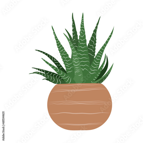 Haworthia plant in pot on white background, cute exotic floliage. Hand Drawn doodle style, vector illustration	
