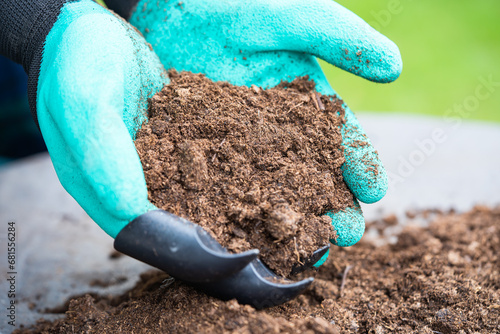 Hand holding peat moss organic matter improve soil for agriculture organic plant growing, ecology concept.