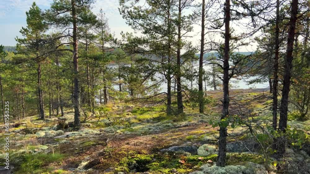 Russia, Lake Ladoga, Koyonsaari. View of the coast of the island with white moss and stones. Beautiful nature of the Republic of Karelia. Skerry islands on a sunny day. 4K Russia, Lake Ladoga, Koyonsaari. View of the coast of the island with white moss and stones. Beautiful nature of the Republic of Karelia. Skerry islands on a sunny day. 4K