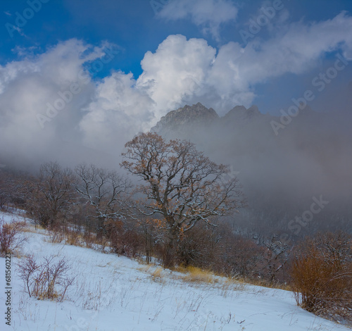 winter snowbound mountain valley in dense mist and clouds © Yuriy Kulik