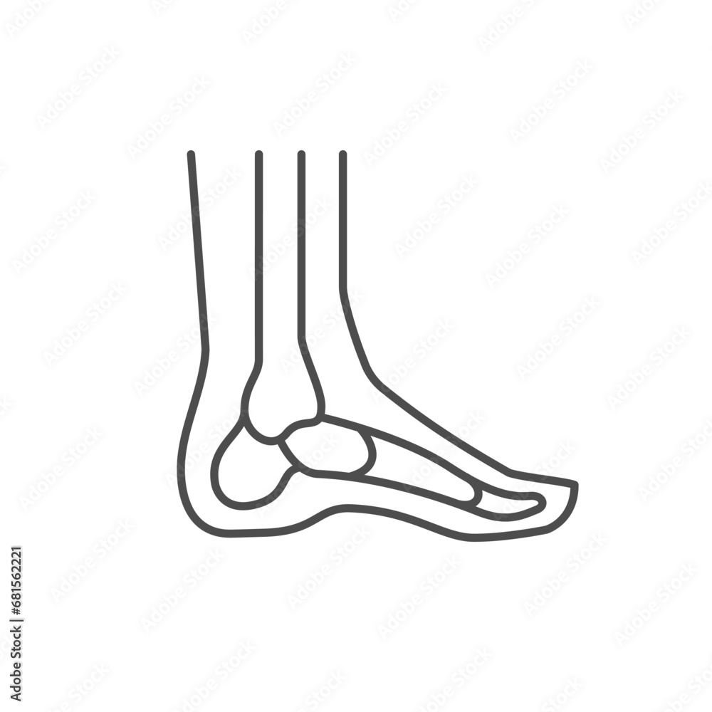 Foot bones line outline icon Foot bones line outline icon
