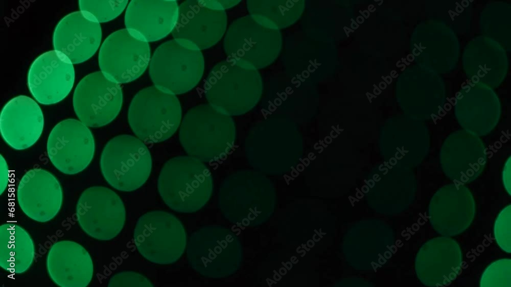 Fondo de video de bokeh en color verde con formas circulares tipo fiesta