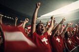 Swiss fans cheering on their team from the stands