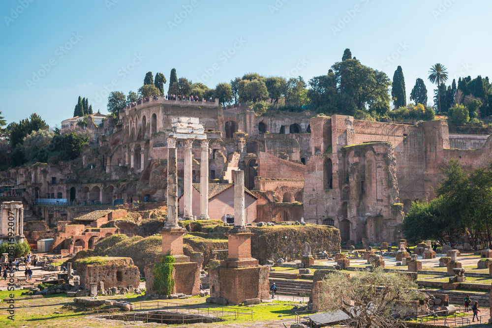 Rome's Cityscape with a Stunning View of the Forum Romanum and Colosseum