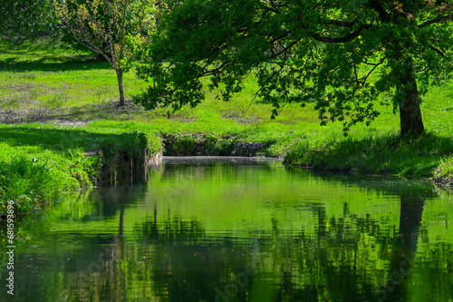 reflet sur l'eau