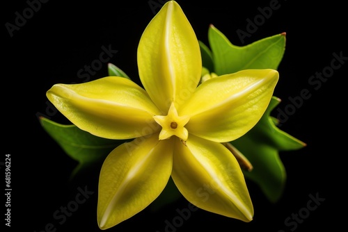  a close up of a yellow flower with green leaves on a black background with a reflection of the center of the flower in the center of the center of the flower.