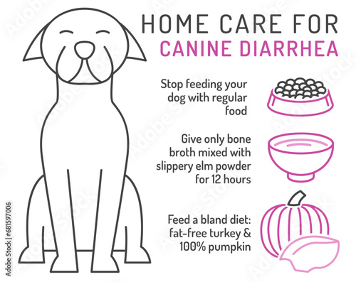 Home care for diarrhea in dogs. Useful infographic with line icons.