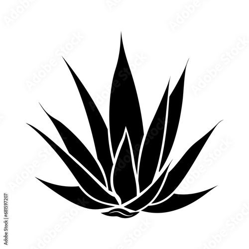 agave silhouette isolated vector