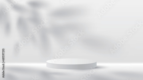 おしゃれな葉っぱの影が映る白い立体感のある背景と円形の台座　葉っぱは一枚一枚バラバラになります photo