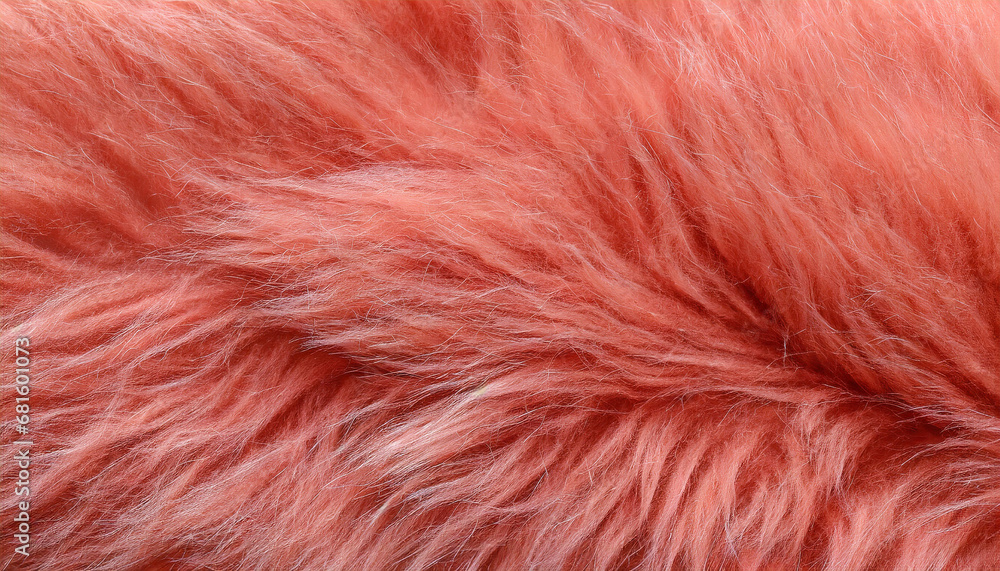 Fototapeta premium Light red fur texture top view