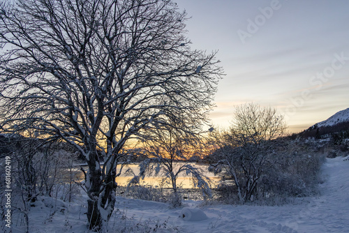 Winter sunset Trælvikosen in Brønnøy,Helgeland,Norway