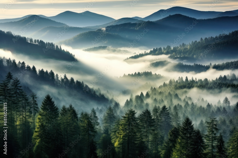  a forest filled with lots of green trees covered in a layer of fog and smoggy clouds above a forest filled with lots of tall, green pine trees.