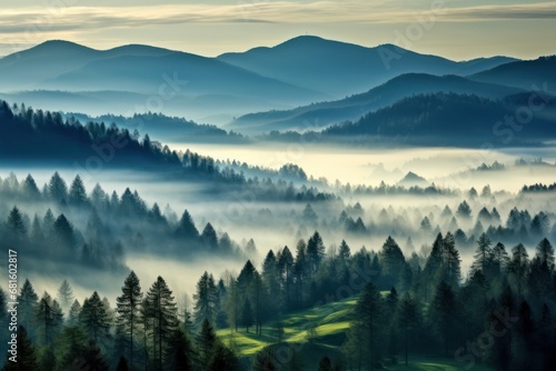  a forest filled with lots of trees on top of a lush green forest filled with lots of tall pine forest covered in fog and smoggy mountains in the distance.
