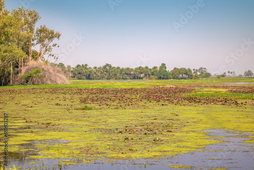 Gulawat Lotus Valley is located in Hatod tehsil in Indore city of Madhya Pradesh state of India.