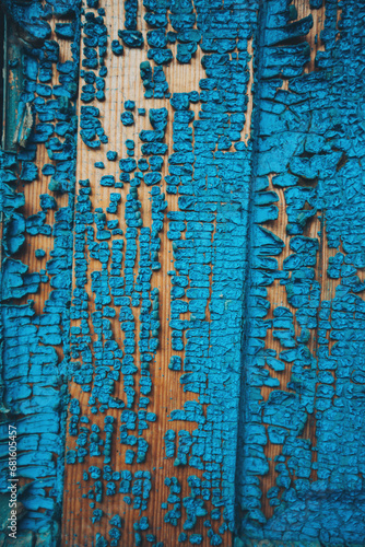 Selective focus old blue cracked paint. The texture of the old door with cracks. Dried in the sun and cracked color on the wall of country house. Peeling coating. Cracked paint on a wooden surface. © Cristina