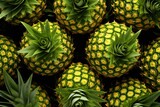  a large pile of pineapples with green leaves on top of them and a green flower in the middle of the top of each of the pineapples.