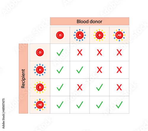 Abo Blood Compatibility Chart. Blood donation, ABO Blood groups droplets., four blood types, A,B, AB and O groups, made up from combinations of the type A and type B antigens. Vector Illustration.