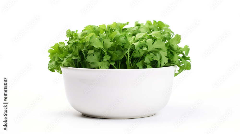 Broccoli in a ceramic dish, isolated against a white background Broccoli in a ceramic dish, isolated against a white background