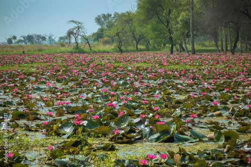 Gulawat Lotus Valley is located in Hatod tehsil in Indore city of Madhya Pradesh state of India.