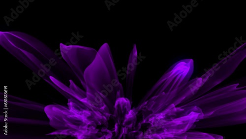   Abstract purble color Flower Blooming Background animation photo