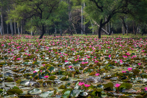 Gulawat Lotus Valley is located in Hatod tehsil in Indore city of Madhya Pradesh state of India.