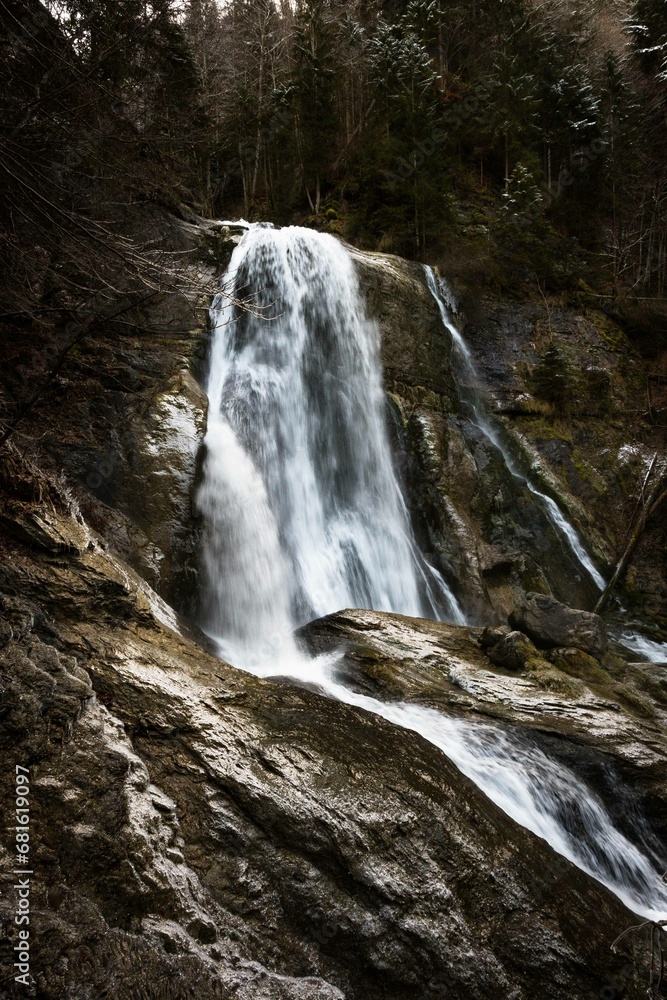 Obraz premium cascade dans une forêt