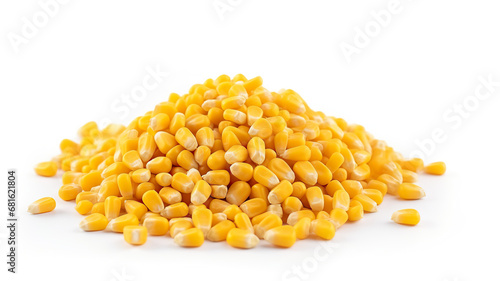 A tiny corn grain on a stark white background  photo