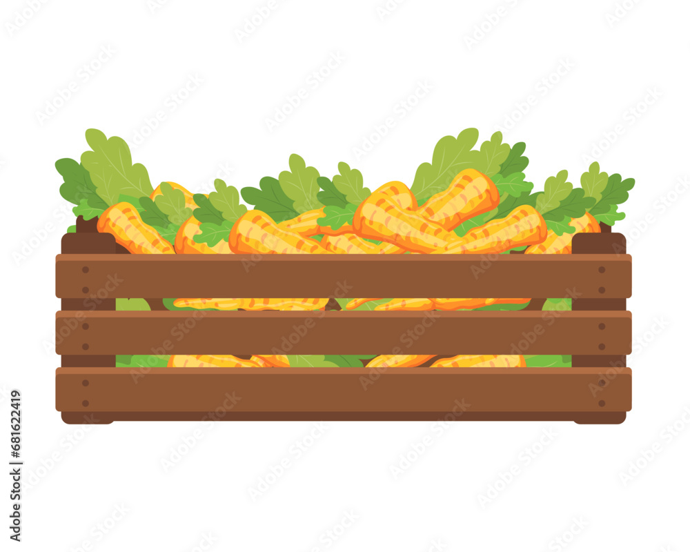 Wooden box with carrots. Healthy food, vegetables, agriculture illustration, vector Wooden box with carrots. Healthy food, vegetables, agriculture illustration, vector
